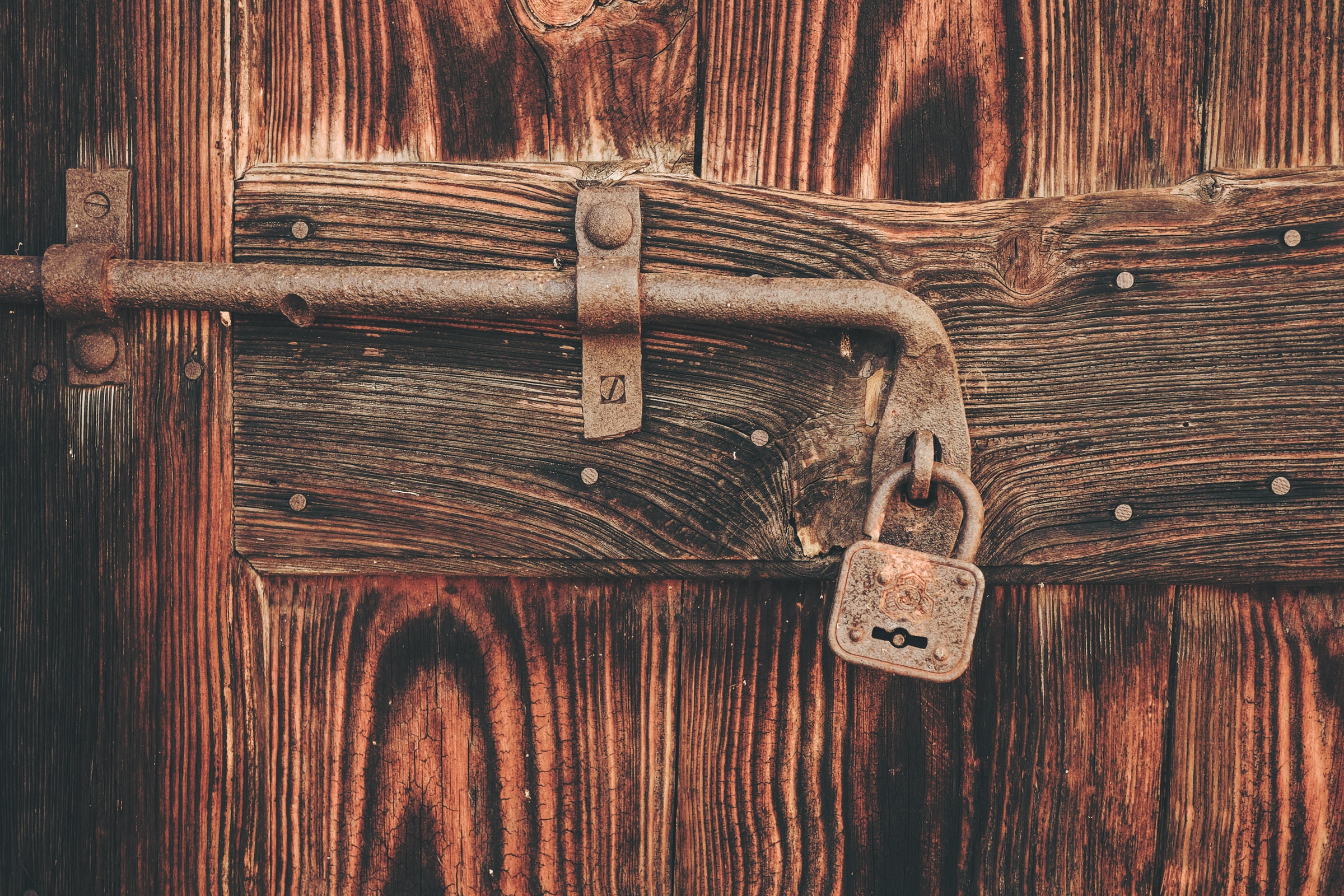 cristina-gottardi-maaWpQVgi00-unsplash